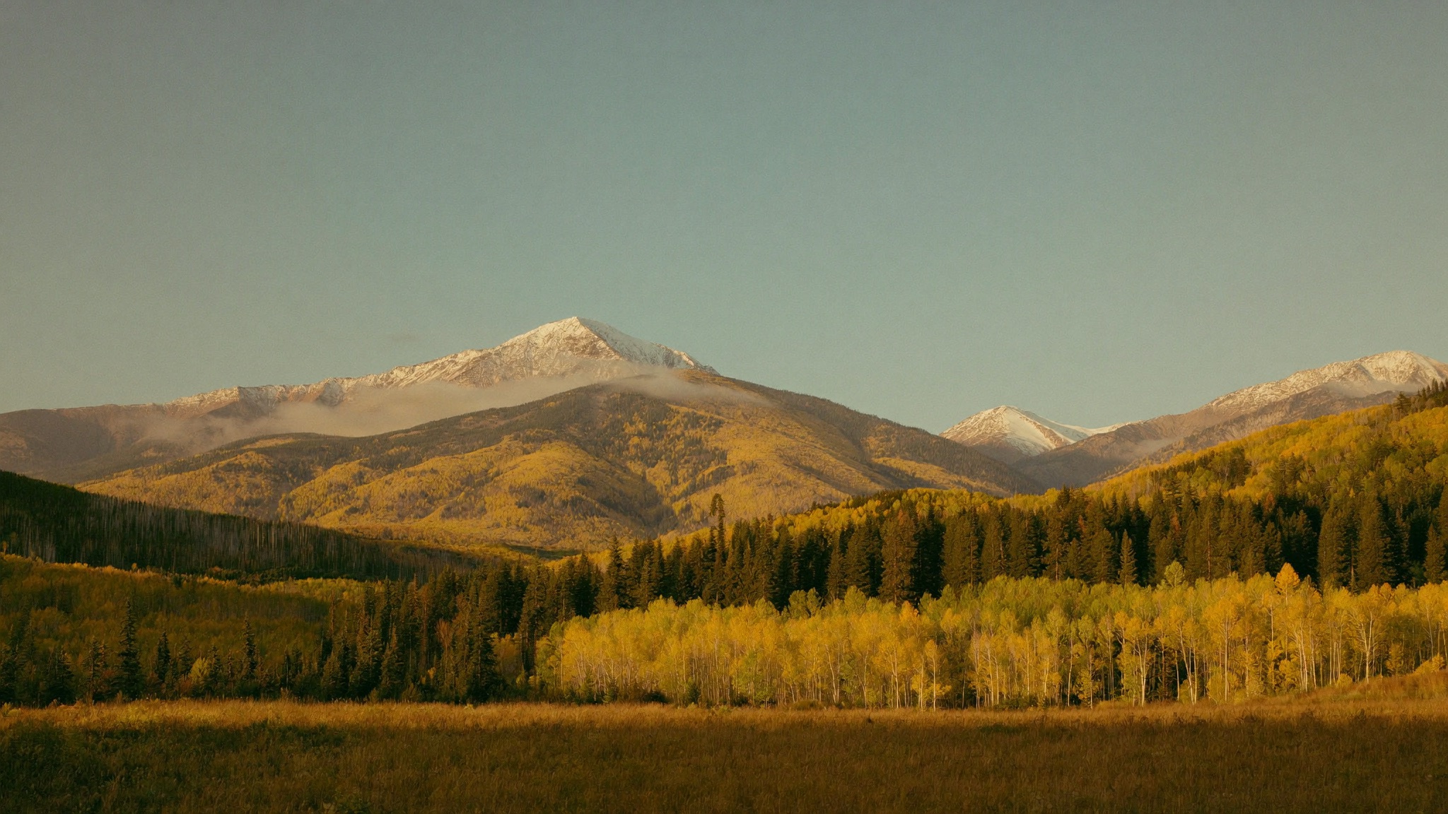 Aspens turning gold beneath a snow-dusted Colorado peak