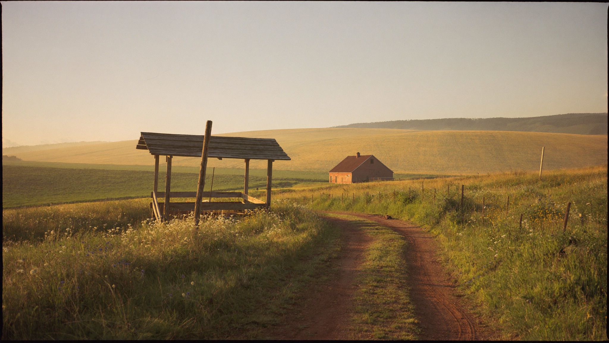 A dirt road curving through golden farmland at dusk